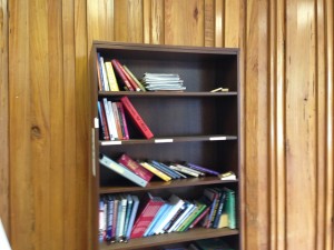 Sunroom Bookshelf